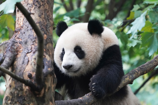 Maak dierenvriendjes in Ouwehands Dierenpark