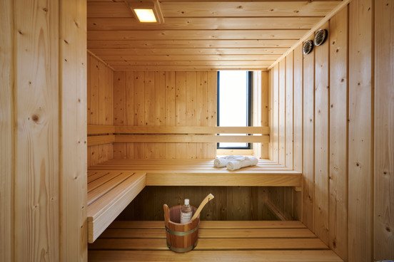 Vakantiehuis met sauna tot 22 personen
