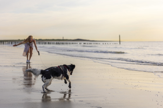 Ontspannen verblijf aan zee op een vakantiepark in Zeeland