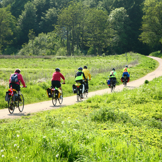 Die Natur mit dem Fahrrad entdecken