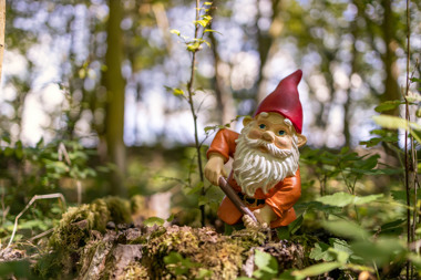 Summio_Parcs_Gelderland_Activiteiten_Kabouterpad_001.jpg