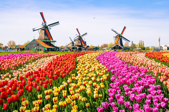 Experience the charm of Zaanse Schans