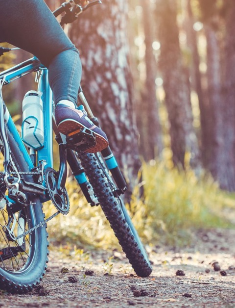 Beleef een heerlijke en actieve vakantie
in de natuurrijke Eifel
