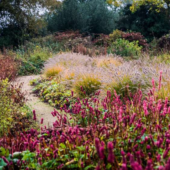 Tuininspiratie en buitenbeleving in Appeltern Adventure Gardens