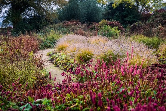 Tuininspiratie en buitenbeleving in Appeltern Adventure Gardens