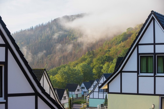 Uitzicht vanaf Dormio Resort Eifeler Tor op Nationaal Park Eifel