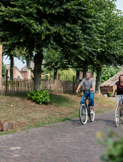 Enjoy a carefree stay in Drenthe