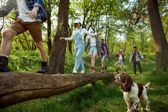 Haustierfreundlicher Urlaub in Österreich in den Alpen