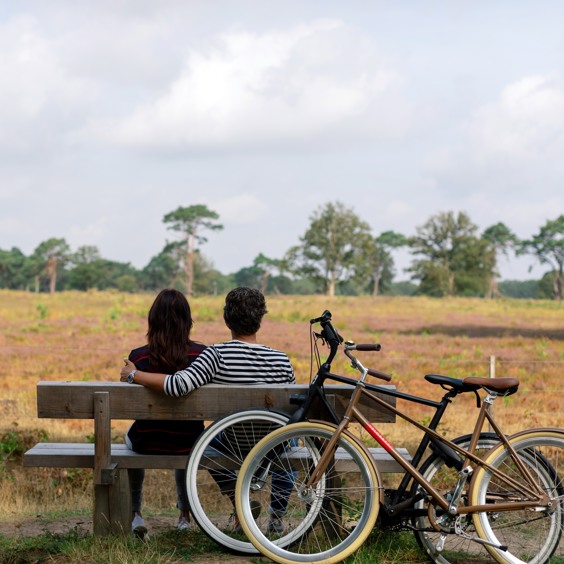 Waar kan ik een fiets huren in Midlaren?