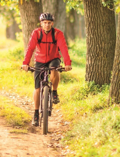 Take part in great activities
during your stay in South Limburg