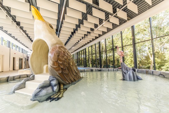 At Dormio Hotel De Prins van Oranje, the weather is always good enough for a swim