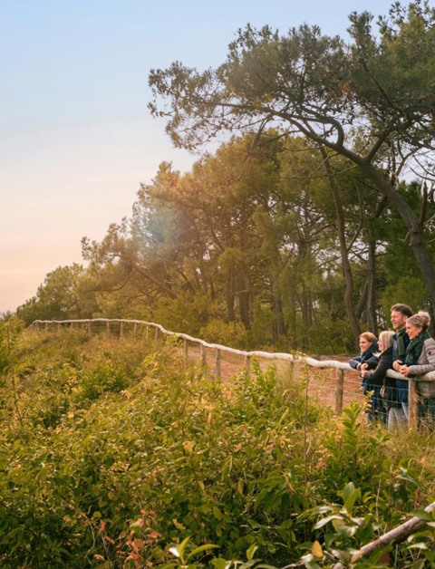 Boek je herfstvakantie en profiteer van tot 20% korting*