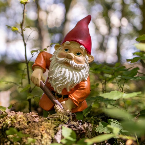 Beleef een avontuurlijk dagje in het bos bij Kabouterpad Hoenderloo