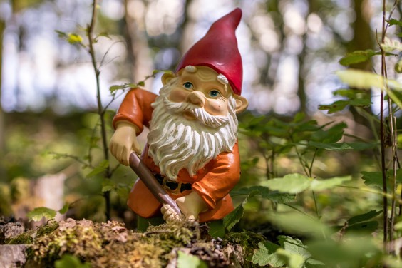 Beleef een avontuurlijk dagje in het bos bij Kabouterpad Hoenderloo