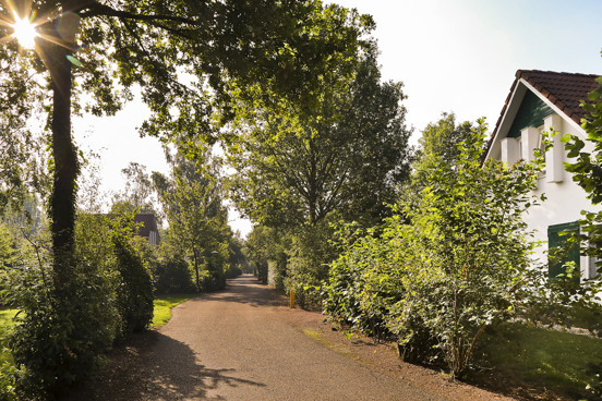 Vakantieparken in Nederland in een bosrijke omgeving