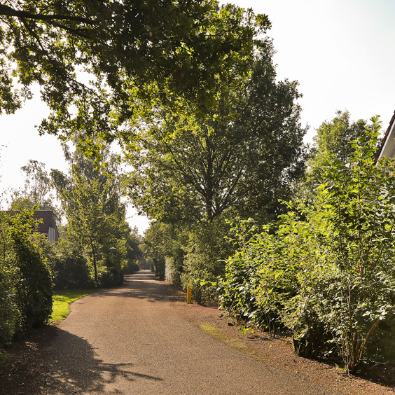 Ferienparks in Holland in der Natur