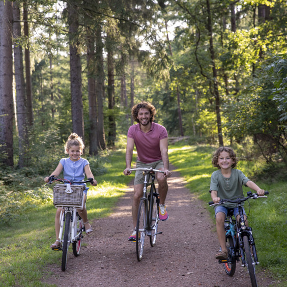 Fietsen tijdens een fijn verblijf