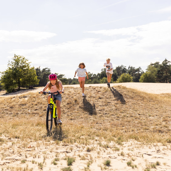 Holiday park in Gelderland