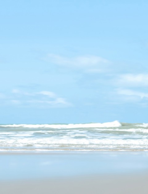 Header