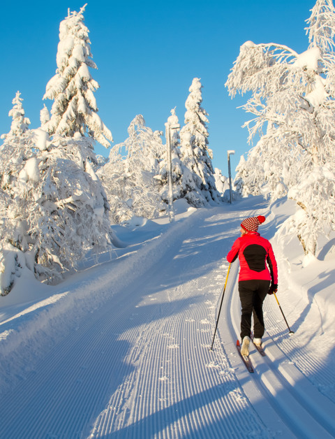 Geniet van een luxe wintersportvakantie in de Franse Alpen vol adrenaline en ontspanning