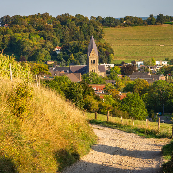 Surroundings Gulpen in Limburg, perfect for a wonderful walking or cycling vacation