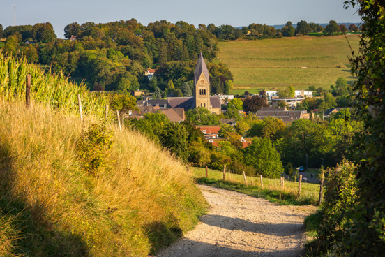 Omgeving Gulpen in Limburg, perfect voor een heerlijke wandel- of fietsvakantie