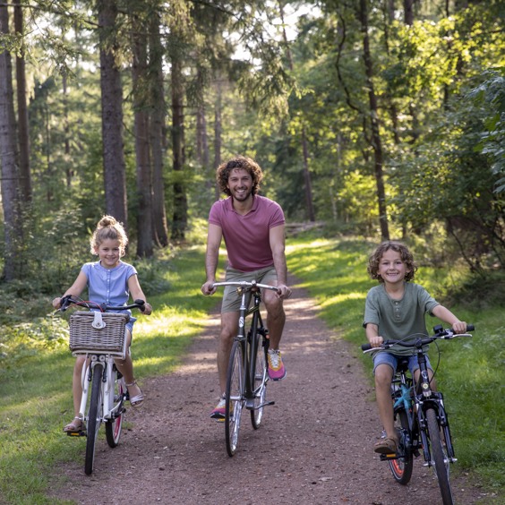 Waar kan ik een fiets huren in Hoeven?