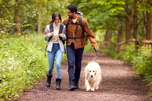 Urlaub mit Hund in Obertraun genießen