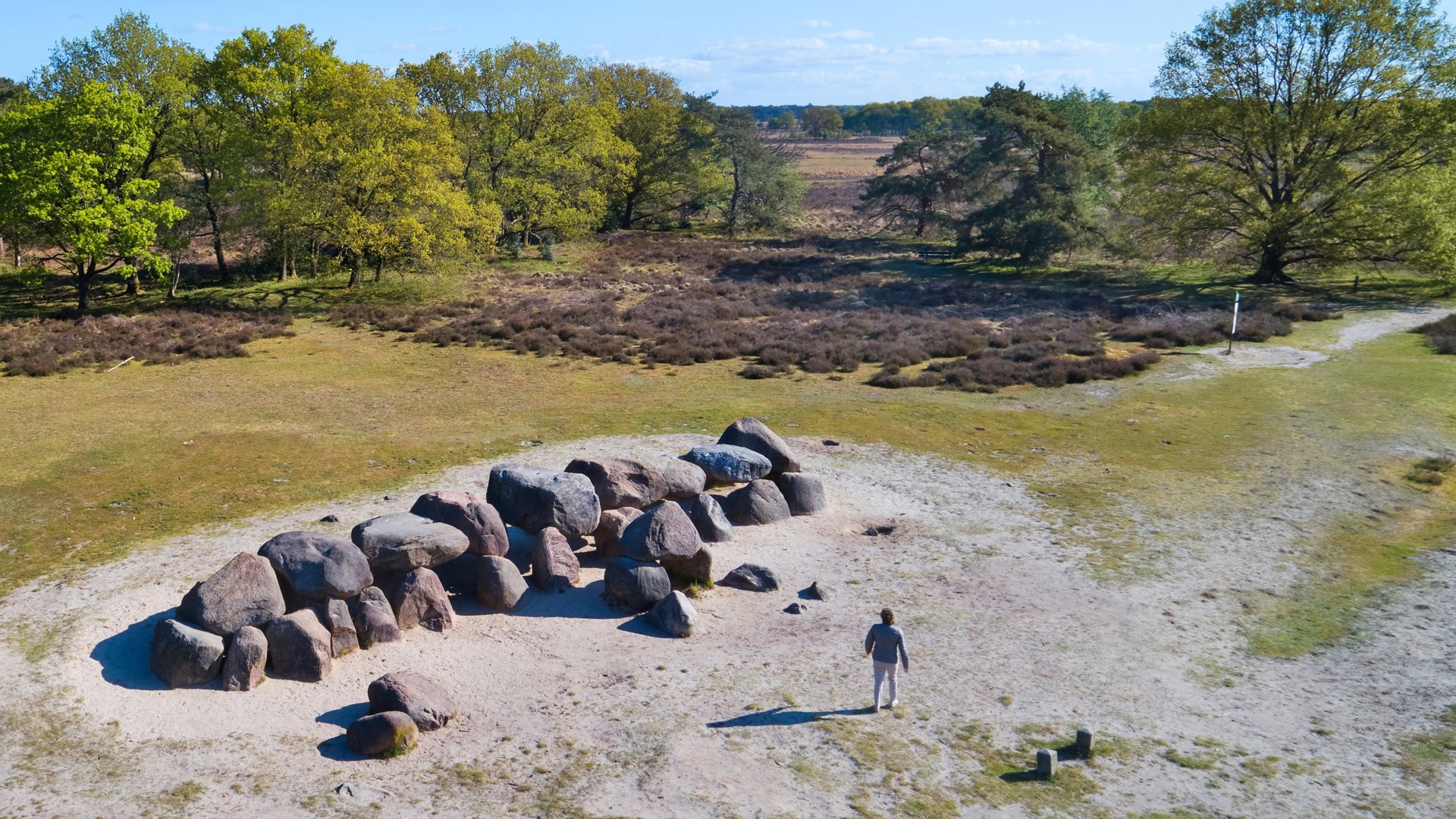 Ontdek de oernatuur van Drenthe