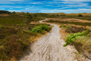 Dormio_Resorts&Hotels_Noord-Holland_Surroundings_Schoorlse_Duinen_003.jpg