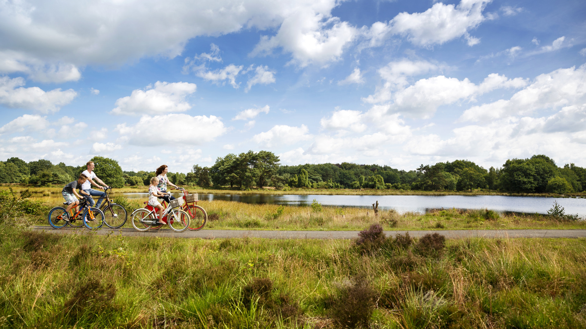 Activiteiten afbeelding