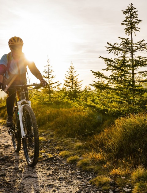Geniet van een sportieve fietsvakantie Duitsland