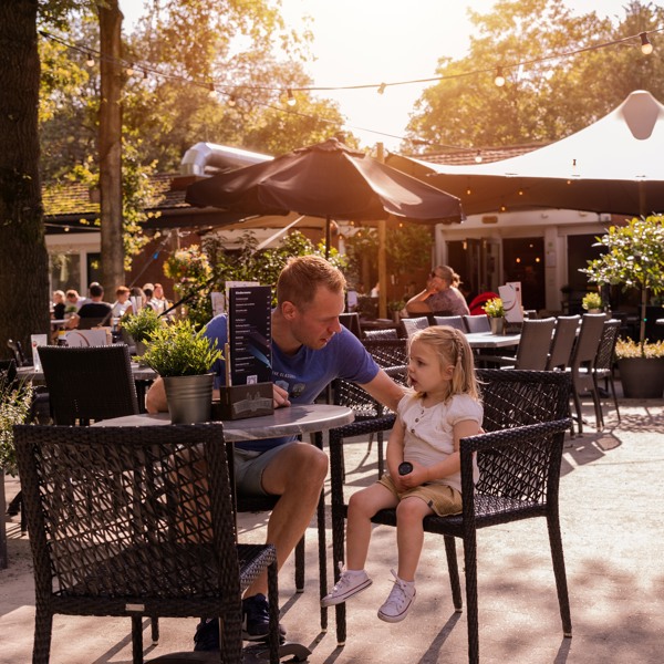 Vakantiepark op de Veluwe midden in het bos