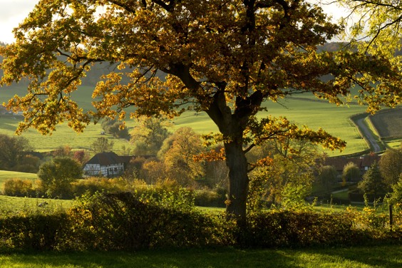 Vakantie in de Zuid-Limburgse natuur