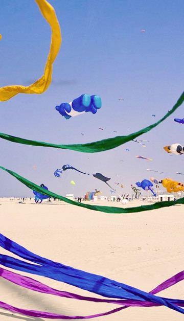 Bewonder het International Kite Festival
in Berck-sur-Mer!