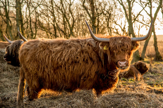 Verken de mooie natuurgebieden