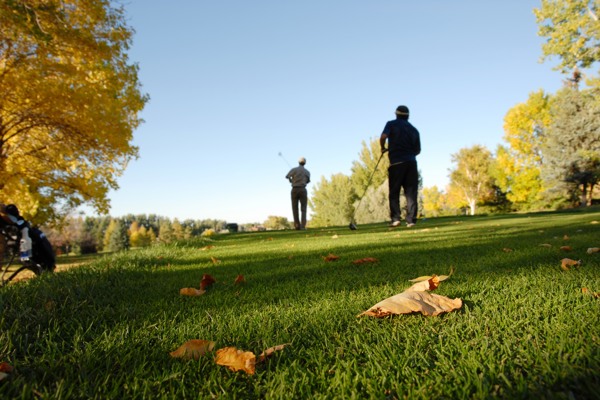 Golfen tussen de Limburgse heuvels