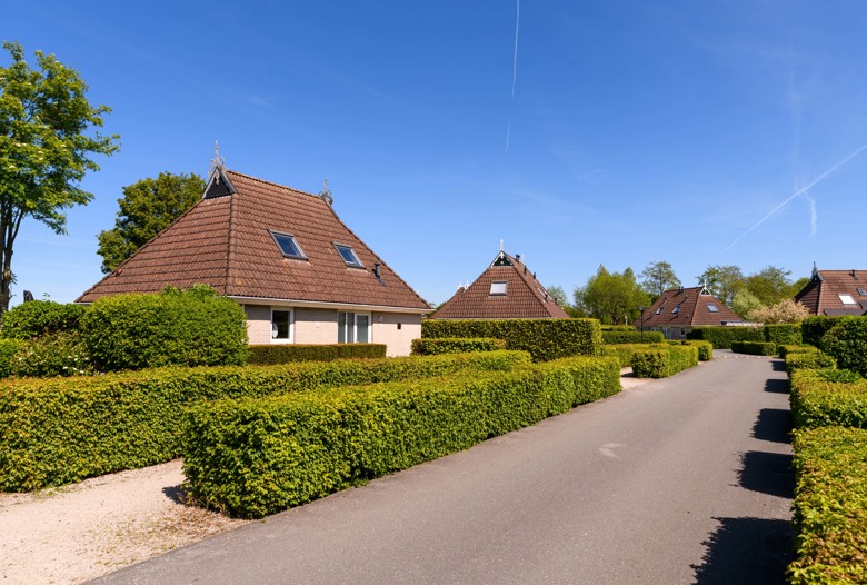 Summio_Vakantiepark_It_Wiid_Overzicht_014.jpg