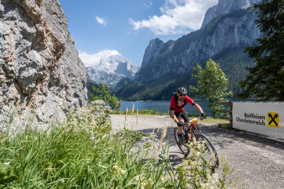 Salzkammergut Trophy, Oostenrijk