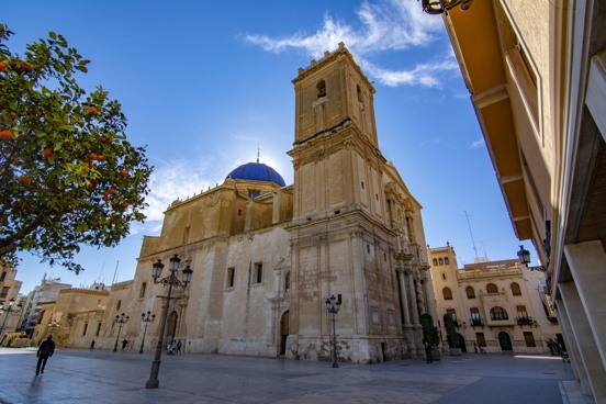 Das Mysterium von Elche