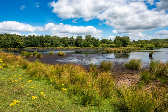 Natuurschoon landschap in Weststellingwerf