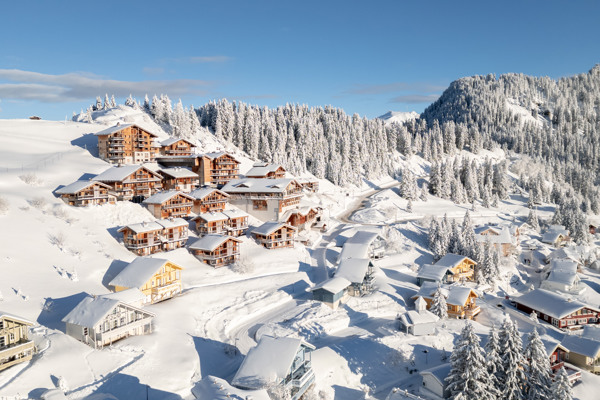 Apartments in the French Alps