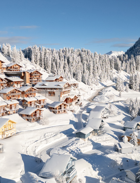 Profitez d'un Noël chaleureux dans les Alpes françaises