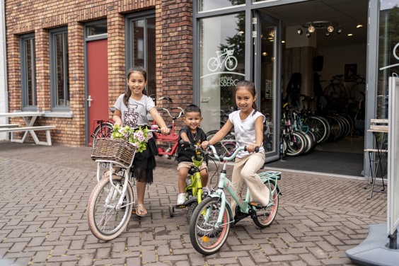 Find a bike of your choice at Bike Rental Dousberg