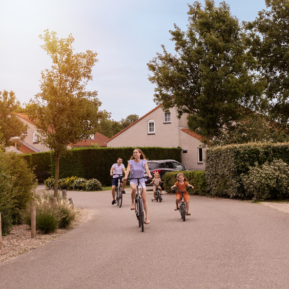 Verken de omgeving van Brouwershaven op de fiets