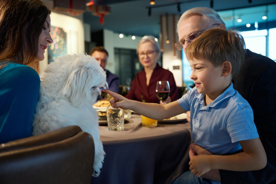 Silvester mit Hund während Ihres Urlaubs feiern