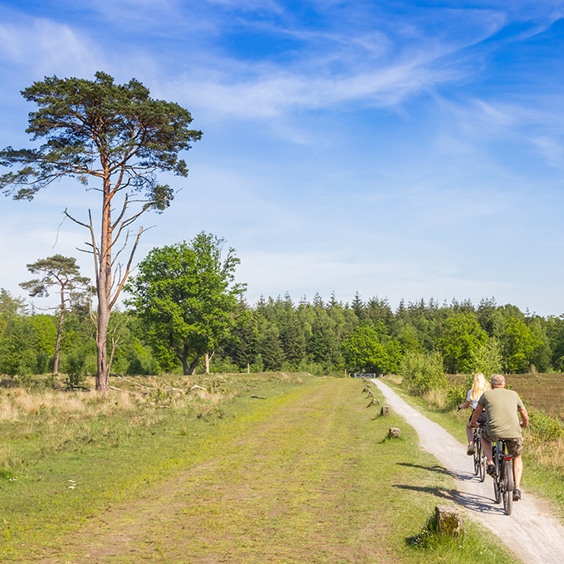 Fietsplezier door natuurgebied Het Groote Zand