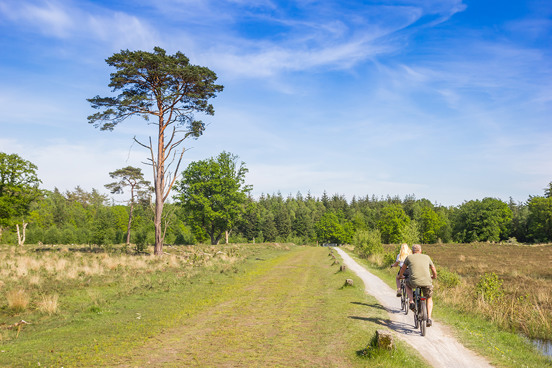 Fietsplezier door natuurgebied Het Groote Zand