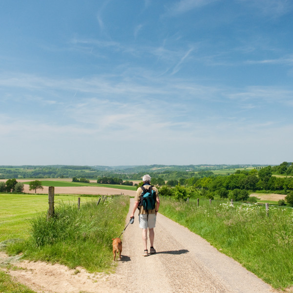 Beleef de ultieme vakantie met hond