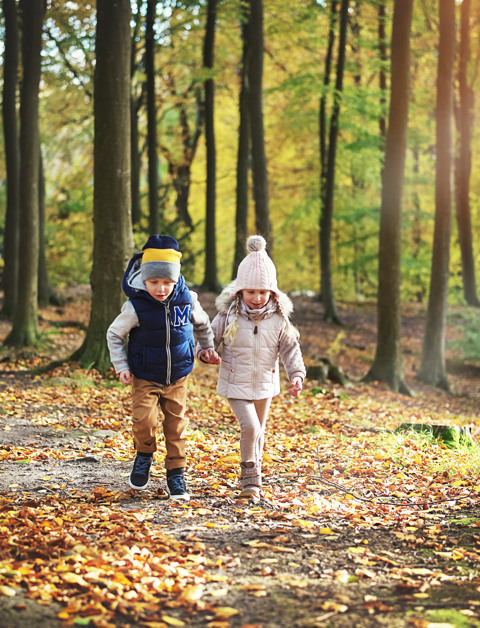 Autumn Feelings